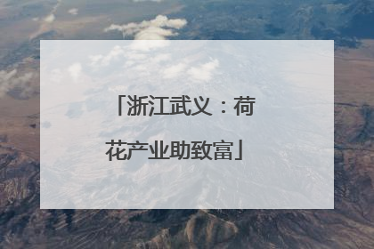 浙江武义：荷花产业助致富