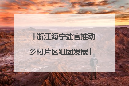 浙江海宁盐官推动乡村片区组团发展