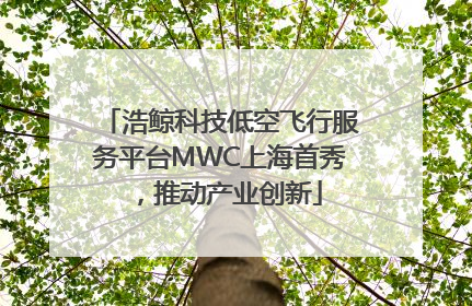 浩鲸科技低空飞行服务平台MWC上海首秀，推动产业创新