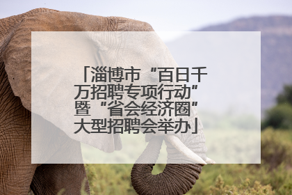 淄博市“百日千万招聘专项行动”暨“省会经济圈”大型招聘会举办
