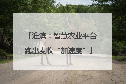 淮滨：智慧农业平台跑出麦收“加速度”