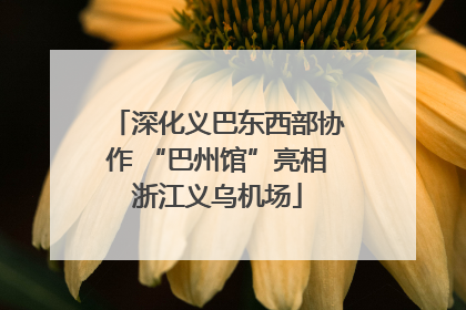 深化义巴东西部协作 “巴州馆”亮相浙江义乌机场