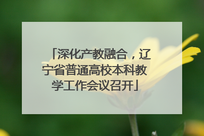 深化产教融合，辽宁省普通高校本科教学工作会议召开