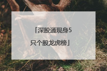 深股通现身5只个股龙虎榜