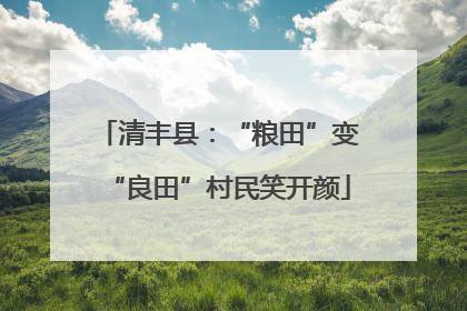清丰县：“粮田”变“良田”村民笑开颜