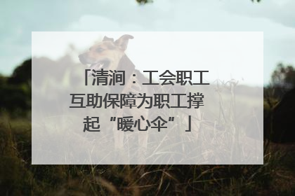 清涧：工会职工互助保障为职工撑起“暖心伞”