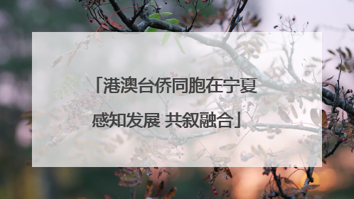 港澳台侨同胞在宁夏感知发展 共叙融合
