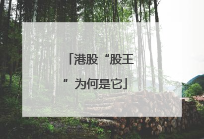 港股“股王”为何是它