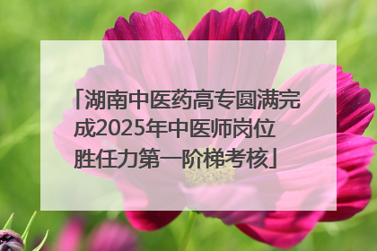 湖南中医药高专圆满完成2025年中医师岗位胜任力第一阶梯考核