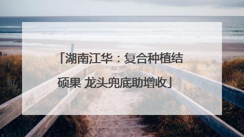 湖南江华：复合种植结硕果 龙头兜底助增收