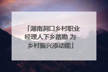 湖南洞口乡村职业经理人下乡踏勘 为乡村振兴添动能