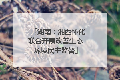 湖南：湘西怀化联合开展改善生态环境民主监督