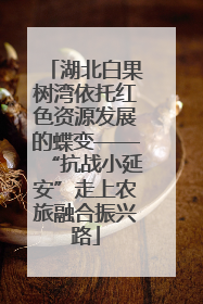湖北白果树湾依托红色资源发展的蝶变——“抗战小延安”走上农旅融合振兴路