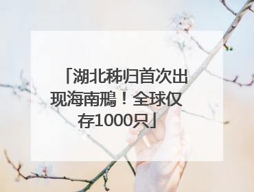 湖北秭归首次出现海南鳽！全球仅存1000只