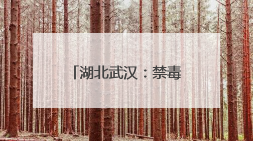 湖北武汉：禁毒宣传走进火车站