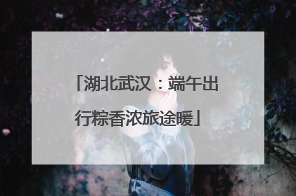 湖北武汉：端午出行粽香浓旅途暖