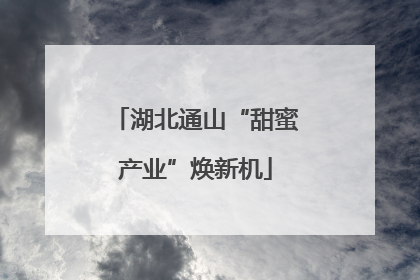 湖北通山“甜蜜产业”焕新机