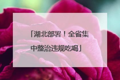 湖北部署！全省集中整治违规吃喝