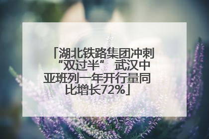 湖北铁路集团冲刺“双过半” 武汉中亚班列一年开行量同比增长72%