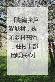 湖潮乡芦猫塘村：夜访乡村巷陌，驻村干部情暖民心