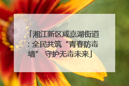 湘江新区咸嘉湖街道：全民共筑“青春防毒墙” 守护无毒未来