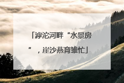 滹沱河畔“水景房”，崖沙燕育雏忙