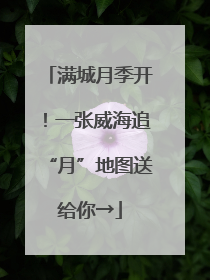 满城月季开！一张威海追“月”地图送给你→
