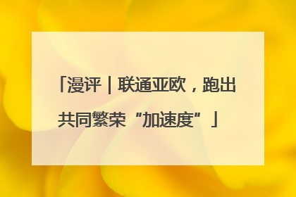 漫评｜联通亚欧，跑出共同繁荣“加速度”