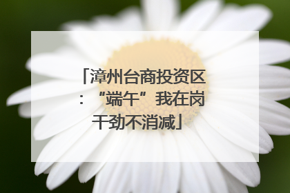 漳州台商投资区：“端午”我在岗 干劲不消减