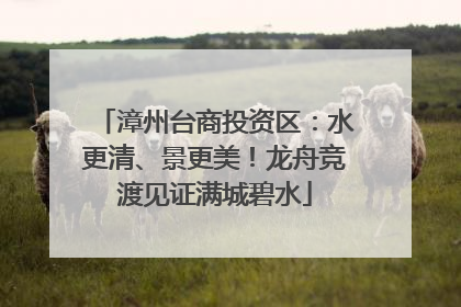 漳州台商投资区：水更清、景更美！龙舟竞渡见证满城碧水
