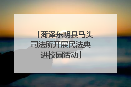 菏泽东明县马头司法所开展民法典进校园活动