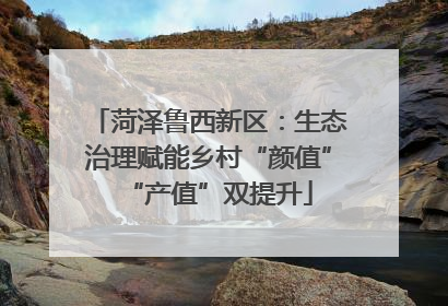 菏泽鲁西新区：生态治理赋能乡村“颜值”“产值”双提升