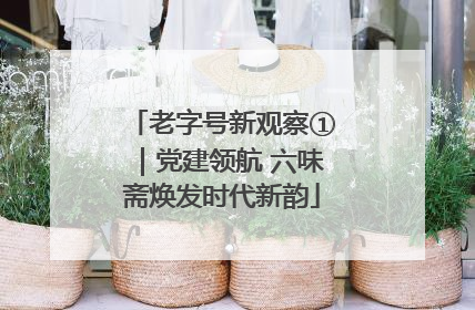 老字号新观察①｜党建领航 六味斋焕发时代新韵