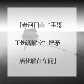 老河口市“毛哥工伤调解室”把矛盾化解在车间