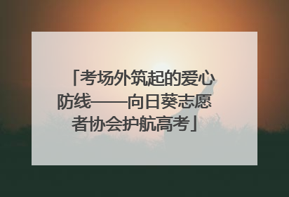 考场外筑起的爱心防线——向日葵志愿者协会护航高考