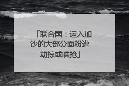 联合国：运入加沙的大部分面粉遭劫掠或哄抢