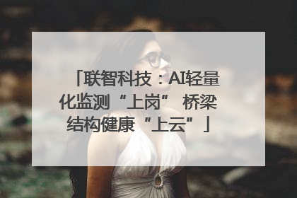 联智科技：AI轻量化监测“上岗” 桥梁结构健康“上云”