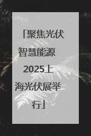 聚焦光伏智慧能源 2025上海光伏展举行