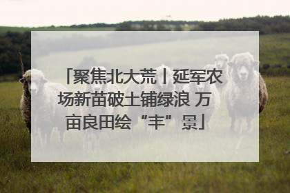 聚焦北大荒丨延军农场新苗破土铺绿浪 万亩良田绘“丰”景