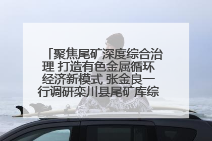 聚焦尾矿深度综合治理 打造有色金属循环经济新模式 张金良一行调研栾川县尾矿库综合治理工作