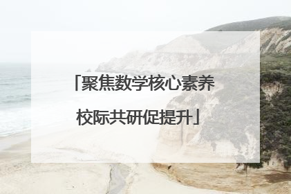 聚焦数学核心素养 校际共研促提升