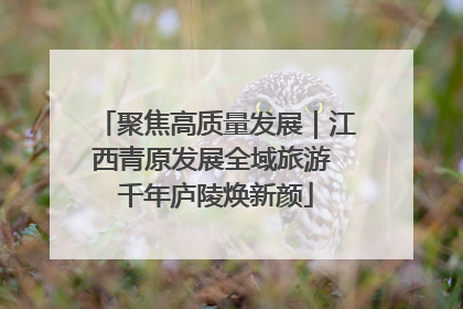 聚焦高质量发展｜江西青原发展全域旅游 千年庐陵焕新颜