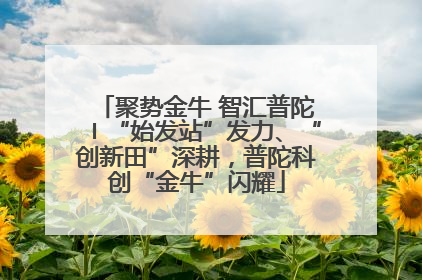 聚势金牛 智汇普陀〡“始发站”发力、“创新田”深耕，普陀科创“金牛”闪耀