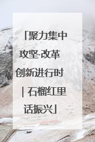 聚力集中攻坚·改革创新进行时｜石榴红里话振兴