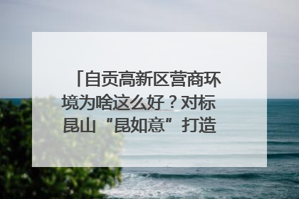 自贡高新区营商环境为啥这么好？对标昆山“昆如意”打造自贡“高兴办”｜美好生活有“盐”味