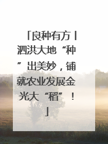 良种有方丨泗洪大地“种”出美妙，铺就农业发展金光大“稻”！