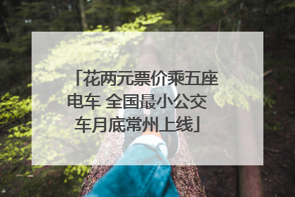 花两元票价乘五座电车 全国最小公交车月底常州上线