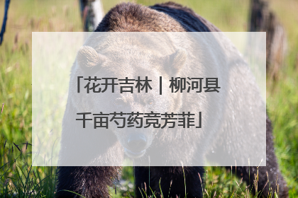 花开吉林｜柳河县千亩芍药竞芳菲