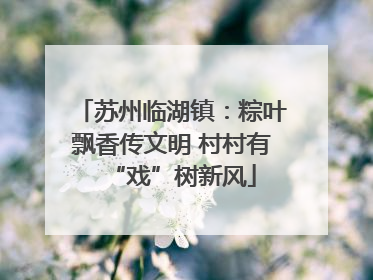 苏州临湖镇：粽叶飘香传文明 村村有“戏”树新风