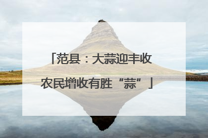 范县：大蒜迎丰收 农民增收有胜“蒜”